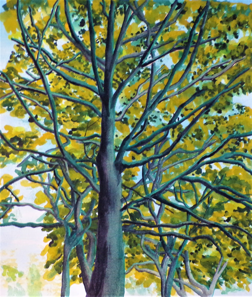 Watercolour Paintings of Trees