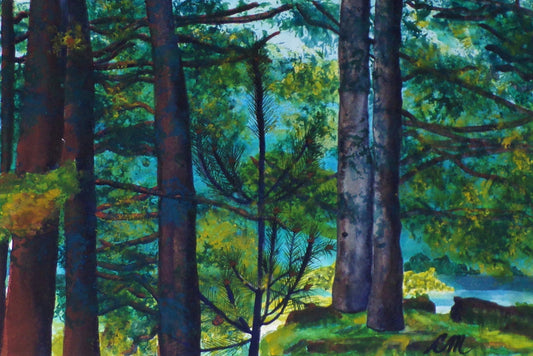 11X16-celia-muncaster-landscape-watercolour-painting-scots-pine-tree