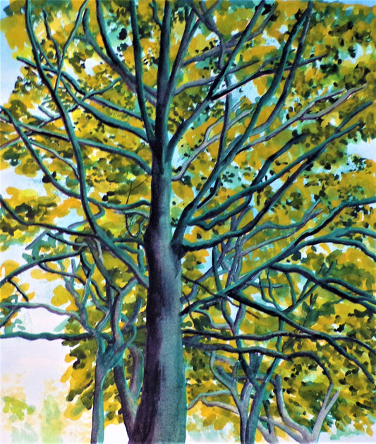 16 X 18-celia-muncaster-watercolour-landscape-painting-red-maple-trees