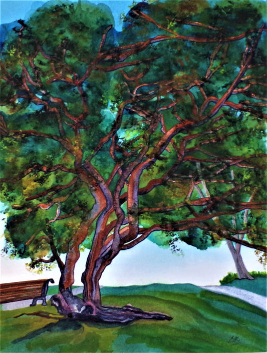 12X16-celia-muncaster-watercolour-landscape-painting-tree-perseverance