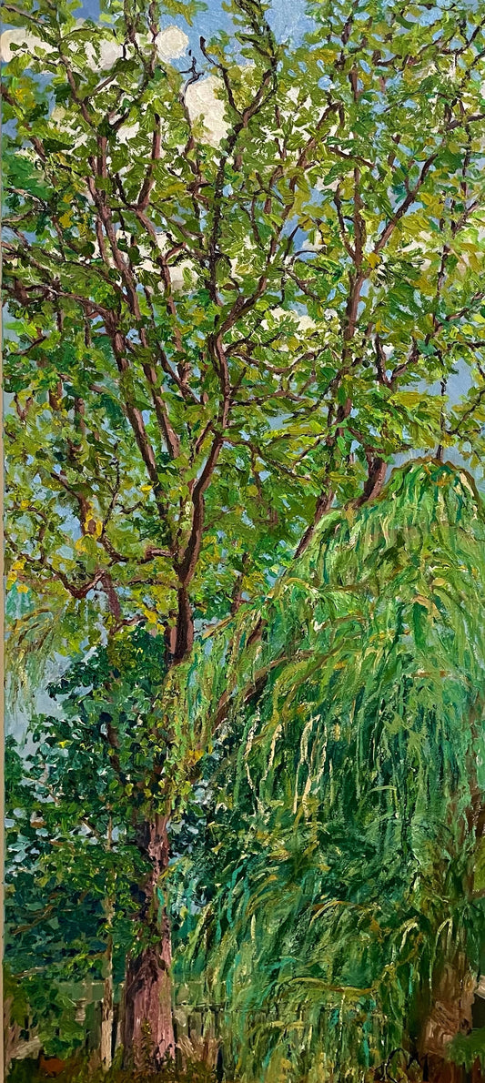 16 x 36-celia-muncaster-landscape-oil-painting-Black-Walnut-tree