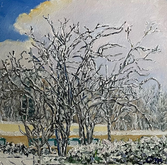 10x10-celia-muncaster-landscape-oil-painting-Five-Walnut-trees-and-Incoming-Snow-Squall
